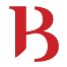 b icon bitsis